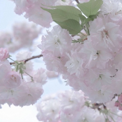 Furry绘画细节处理兽圈群